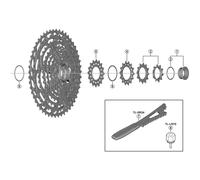 Shimano Spares CS-M9100 sprocket wheel, 10T and 12T