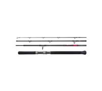 Shimano STC XR Spinning Monster 2,40m 28-110g 4pc Fishing Rod