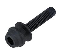 SHIMANO Unisex Y2j708010 BR-R8170 Caliper Fixing Bolt, For C2 20 Mm, Black