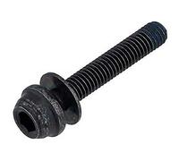 SHIMANO Unisex Y2j708050 BR-R8170 Caliper Fixing Bolt, For C2 15 Mm, Black
