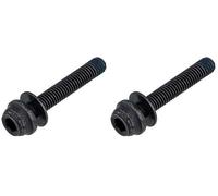 SHIMANO Unisex Y2j708050 BR-R8170 Caliper Fixing Bolt, For C2 15 Mm, Black (Pack of 2)