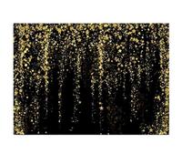 shimmer wall backdrop Gold Silver Glitter Photography Backdrop Disco Fantasy Black Golden Shiny Sequin Photo Backgrounds Birthday Party Wedding Props(Color 3,240X180CM)