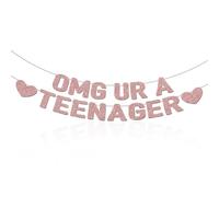 Shimmerz OMG You're a Teenager Banner 13th Birthday Decor for Girls Rose Gold Glitter Happy 13th Birthday Party Decorations Pre-strung Teenage Girl Birthday Decorations for Girls