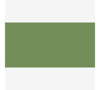 Shin Han : Touch Twin BRUSH Pen : Sap Green : GY235