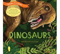 Shine a Light: Dinosaurs: A shine-a-light book
