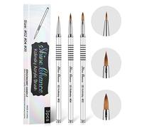 Shine Chance 3Pcs 3D Nail Brushes Set Size 2 4 5, Kolinsky Hair Acrylic Flower Nail Art Brush, Art Design & Polish Mistake Cleaning Manicure Tools for Women Acrylic Application, Silver