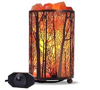 Shineled Himalayan Salt Lamp, Salt Rock Lamp Natural Night Light in Forest Design Metal Basket with Dimmer Switch (2KG-Forest)