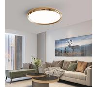 SHINELUX Modern LED Round Ceiling Light, 48.5cm Dimmable 3000K/4500k/6500K Gold Ceiling Light, Brightness Adjustable 10%-100% with Remote Control for Bedroom, Dining Room, Stairwell, Living Room