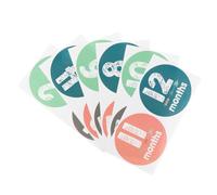 SHINEOFI 12Pcs Milestone Decal Stickers for Newborn Boy Girl Photo Background Props for Monthly Growth Tracking Scrapbooking and Photography Embellishment Set