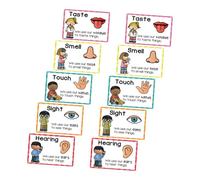 SHINEOFI 2 Sets Early Learning Flash Cards Visual Stimulation Posters for Cognitive Development for Preschool Classroom Decoration Home Education