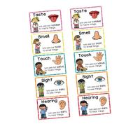 SHINEOFI 2 Sets Sensory Learning Cards for Educational Flash Cards for Cognitive Development Classroom Decor for Home Learning and Early Childhood Education