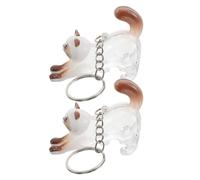 SHINEOFI 2pcs Cat Hair Storage Box Keychain Pendant Pet Keepsake Memorial Capsule Collector for Ragdoll Cats Cute Animal Hair Storage Organizer for Lovers