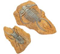 SHINEOFI 2pcs Realistic Trilobite Fossil Resin Terrarium Ornaments Snake Box Decorations Lizard Reptile Decors for DIY Crawling Landscape and Small Pet Habitat