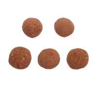 SHINEOFI 5pcs Natural Brown Bird Chew Stone for Pigeons and Pet Birds, Soil Material Provides Essential Trace Elements, for Daily Care Routine and Birdcage Accessories, Sturdy Grinding