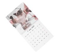 SHINEOFI Cat Themed Wall Calendar with Two-wire Binding, Whimsical Monthly Planner Featuring Holiday Indications and Ample Writing Space, for Cat Lovers at Home or Office