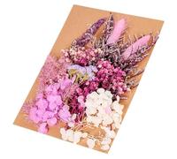 SHINEOFI DIY Decorative Small Purple Dried Flowers Craft Making Material Pack for Candle Filling Home Décor and Handicrafts Supplies