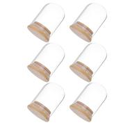SHINEOFI Glass Cloche Dome Display with Wood Base, 6Pcs 5X7Cm Glass Bell Jar Set for Candles and Collectibles Showcase Indoors