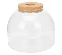 SHINEOFI Glass Terrarium Container DIY Micro Landscape Bottle with Cork Decorative Ecological Plant Vase for Home Office Desktop Smooth Surface Easy to Clean Compact Glass Planter for