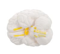 SHINEOFI Human Brain Organ Model with Detachable Design and Realistic Pvc Structure for Educational Brain Display, for Classroom Demonstrations and Teaching, White Anatomy Model