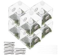 SHINEOFI Jumping Spider Enclosure Box Acrylic Habitat Medium Size Insect Feeding and Breeding Case Suitable for Florida Jumping Spiders for Reptiles and Small Arachnids