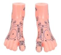 SHINEOFI Massage Foot Model for Display Anatomical Foot Reflexology Model with Precise Acupoints for Therapy