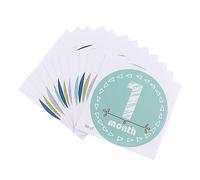 SHINEOFI Monthly Keepsake Sticker Set for Newborns and Babies, Assorted Colour Paper Labels Commemorating Baby's First Year and Recording Milestones, for Photo Albums and Photoshoot Props