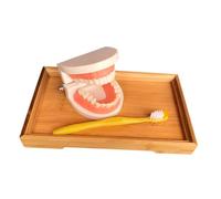 SHINEOFI Oral Education Tooth Model with Bamboo Tray Teeth Brushing for Cognitive Learning and Study Safe Teaching Aid for Boys and Age