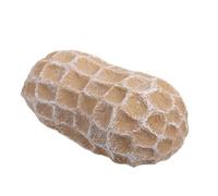 SHINEOFI Outdoor Key Holder Peanut Shape Weatherproof Hidden Key Box for Garden Patio for Outdoor Emergency Access for Home Office