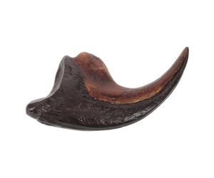 SHINEOFI Realistic Spinosaurus Dinosaur Claw Model for Science Education and Research Material with Detailed Design for Classroom and Study Display