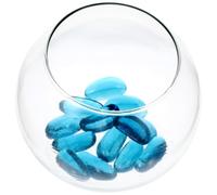 SHINEOFI Small round Glass Fish Tank with Pearl Design, Mini Desktop Betta Fish Bowl for Office and Living Room, Micro Landscape Container for Goldfish and Aquatic Plants