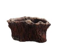 SHINEOFI Small Succulent Pot Cement Tree Root Style for Home Desktops