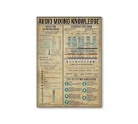SHINERING Audio Mixing Knowledge Poster, Music Production Print Art, Sound Engineer Gifts, Fun Audio Art, Music Education Poster Decoration 40Cmx50Cm No Frame