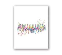 SHINERING Dental Equipment Medical Posters And Prints Teeth Anatomy Watercolor Art Picture Canvas Painting Dentist Gift Clinic Wall Decor A9 60X80Cm Unframed