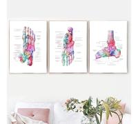 SHINERING Foot Bones Anatomy Poster Podiatry Art Medical Print Canvas Painting Posters Prints Wall Pictures For Doctor Office Decor 40Cmx50Cmx3Pcs No Frame