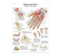 SHINERING Hand And Wrist Canvas Painting Posters And Prints The Body Structure Skeleton Wall Art Nervous System Anatomy Education Poster Medical 60X80Cm Unframed
