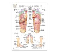 SHINERING Reflexology Of The Foot Canvas Painting Posters And Prints The Body Structure Skeleton Wall Art Nervous System Anatomy Education Poster Medical 40X50Cm Unframed