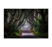 SHINERING The Dark Hedges Magic Road Canvas Painting Path Through Dark Woods Poster Prints Wall Art Picture For Living Room Home Decor 60X80Cm Unframed