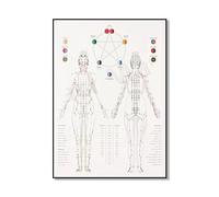 SHINERING Tongue Diagnosis Diagram, Scalp Acupuncture, Acupuncture Meridian Print. Traditional Chinese Medicine, Herbal Medicine Poster A2 50Cmx70Cm No Frame