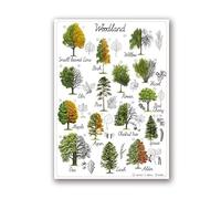 SHINERING Woodland Animals Educational Poster Animal Alphabet Numbers Print Tree Natural Illustration Canvas Painting Nursery Wall Decor A8 21X30Cm Unframed