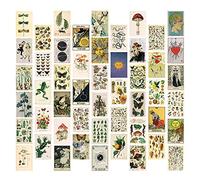 Shineyoo 50PCS Art Wall Collage Kit, Room Decor Aesthetic Bedroom Vintage Print Posters Kit, Decor Collage Postcard for Girls Boys Fashion Room Bedroom Walls Dorm Photo Display