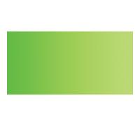 ShinHan : Premium Extra Fine Watercolour Paint : 15ml : Permanent Green No.1 : 266