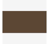 ShinHan : Touch Twin Brush Pen : Bronze : BR99