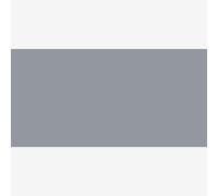 ShinHan : Touch Twin Brush Pen : Cool Grey : CG5