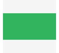 ShinHan : Touch Twin Brush Pen : Vivid Green : G46