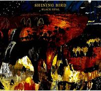 Shining Bird - Black Opal