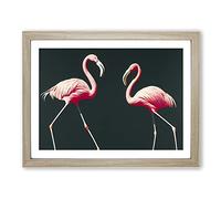 Shining Flamingos Framed Print | A3 Oak Framed Wall Art | Ready to Hang | Modern Animal Picture | Living Room Bedroom Lounge Office