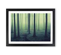 Shining Forest Framed Wall Art Print A2 Black