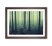 Shining Forest Framed Wall Art Print A2 Walnut