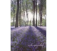 Shining Light - Sympathy Card (Woodmansterne)