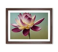 Shining Lotus Flower WHT Framed Print | A4 Walnut Framed Wall Art | Ready to Hang | Modern Floral Picture | Living Room Bedroom Lounge Office
